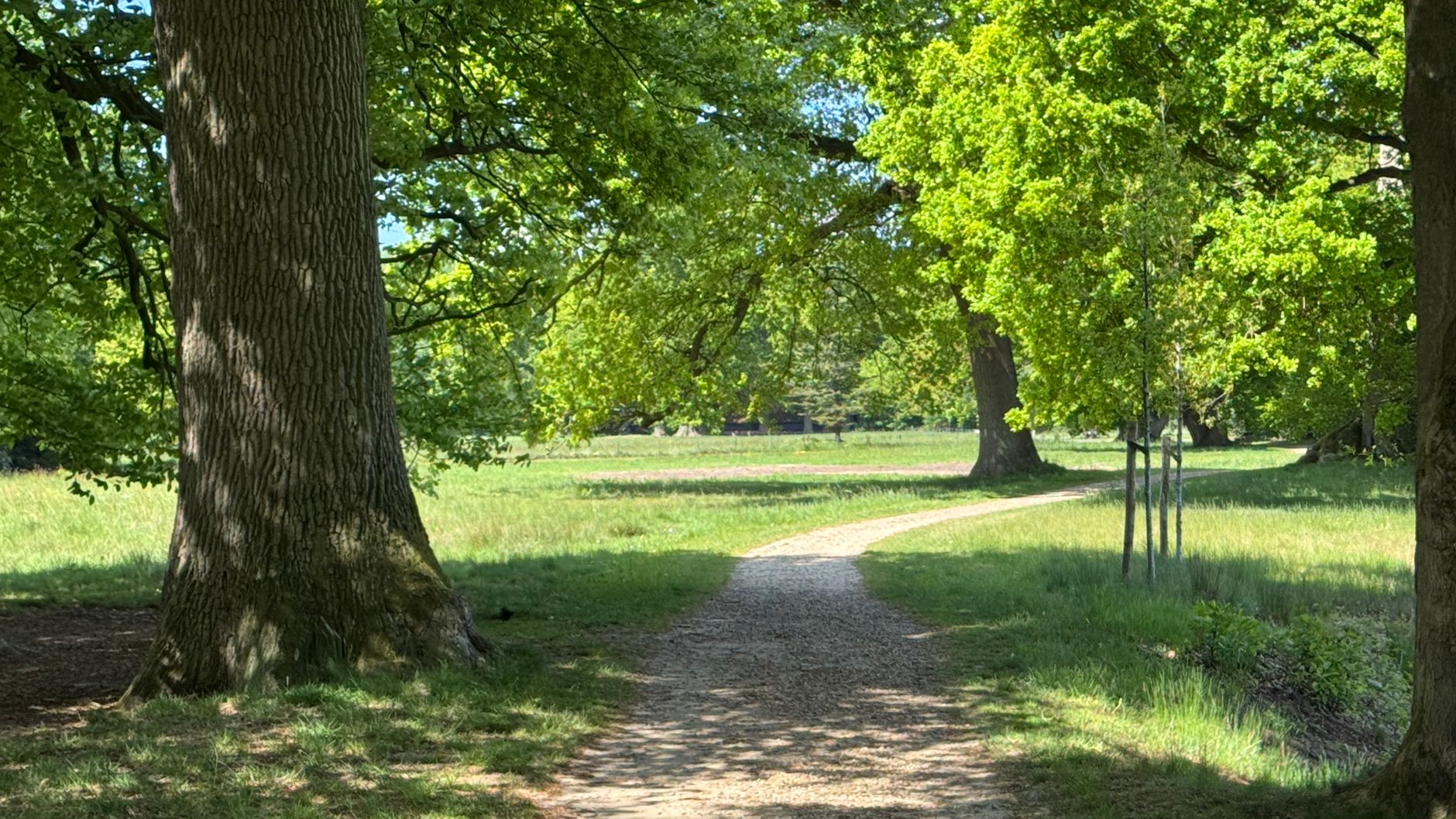 Lutte contre les nuisibles à Neuilly-sur-Seine